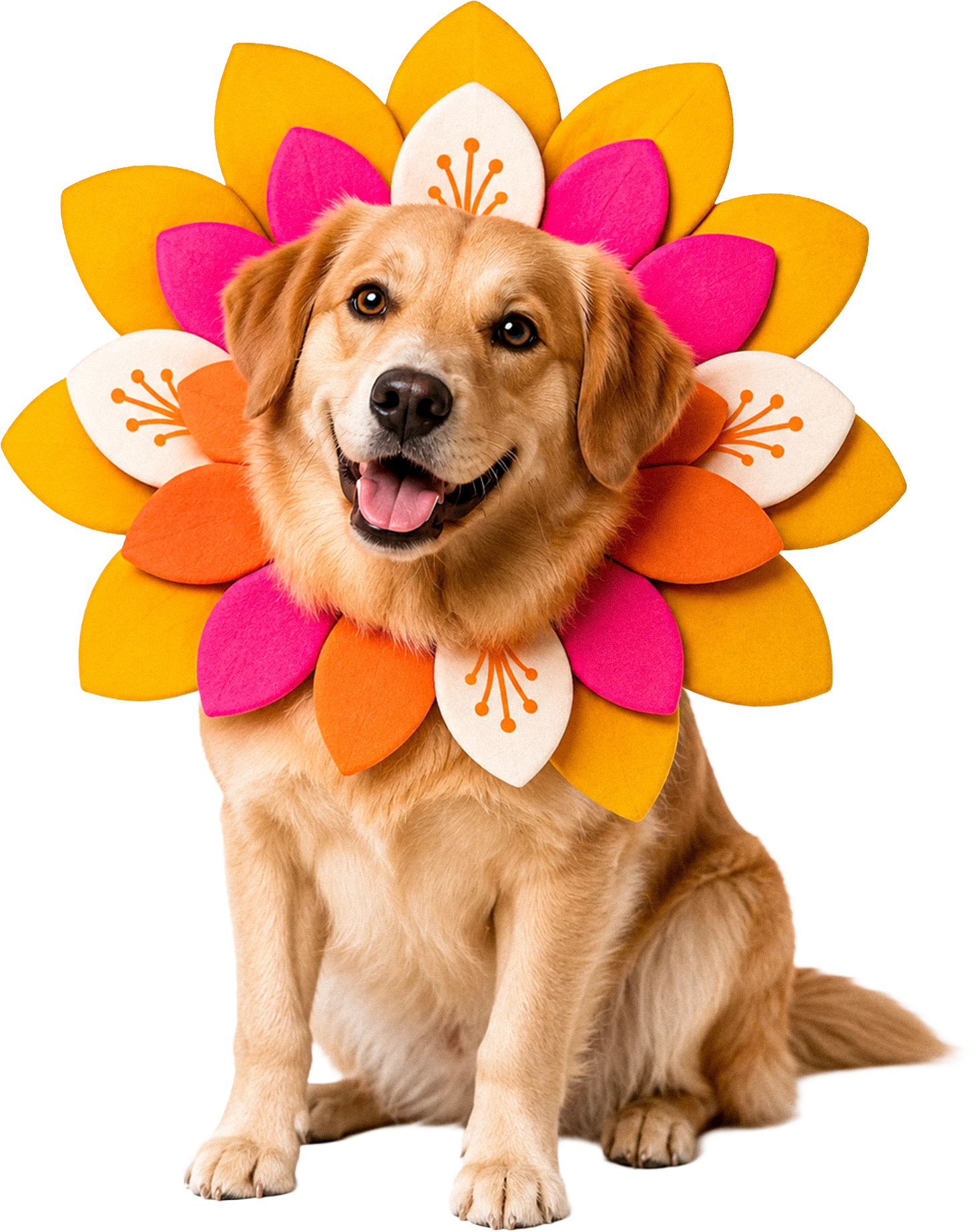 Cachorro feliz usando uma fantasia floral nas cores da Cãominhada